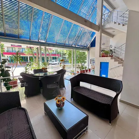 Excelsior - Premium 50m To The